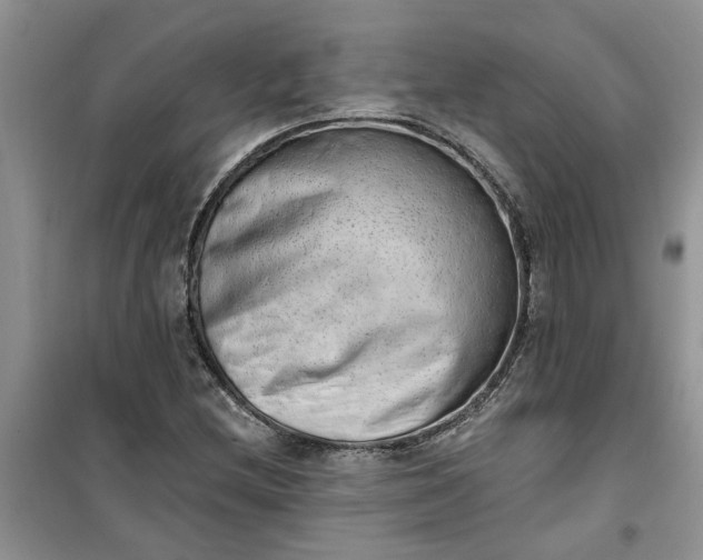 X0000100961212200807081234