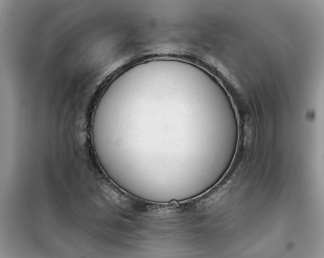 X0000100961213200807081234