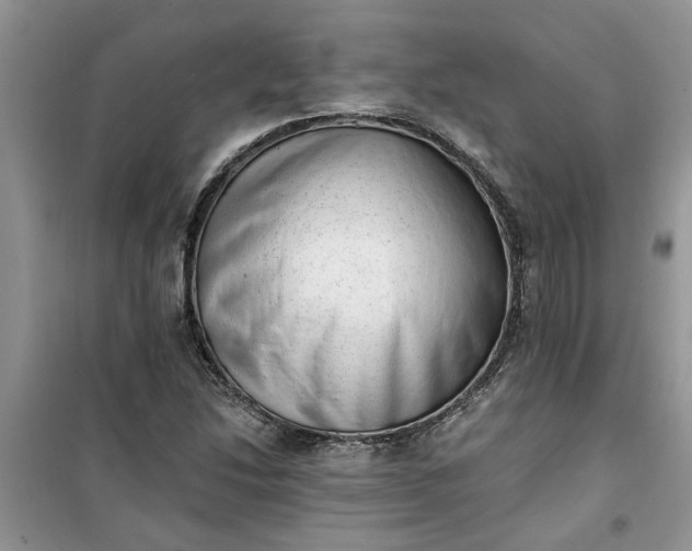X0000100961214200807081234