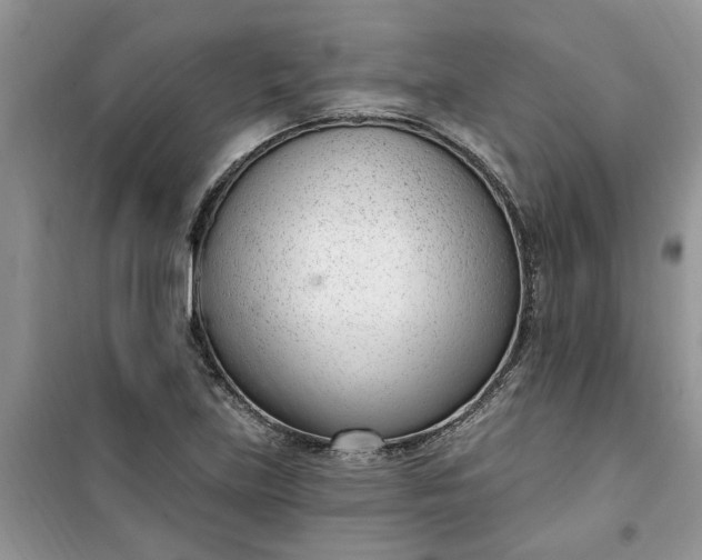 X0000100961219200807081234