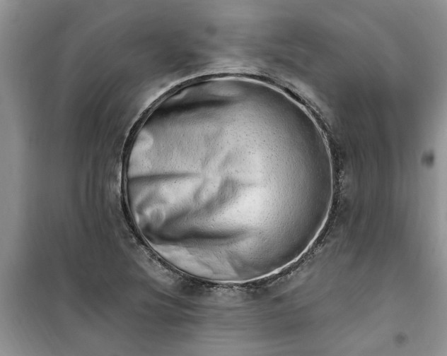 X0000100961220200807081234