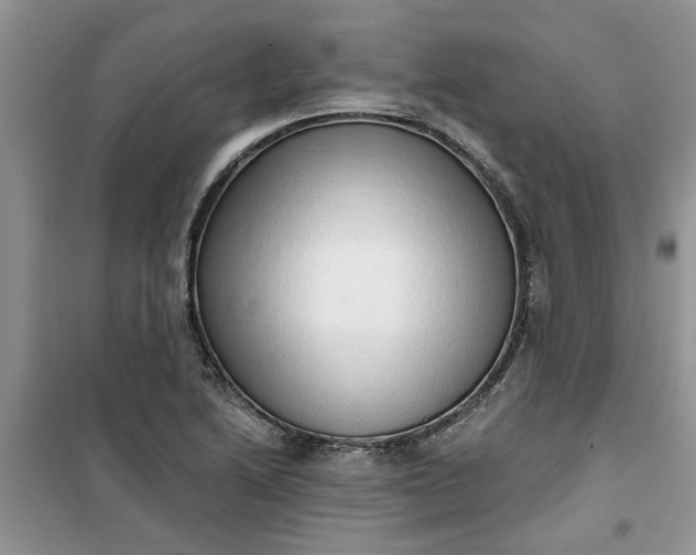 X0000100961222200807081234