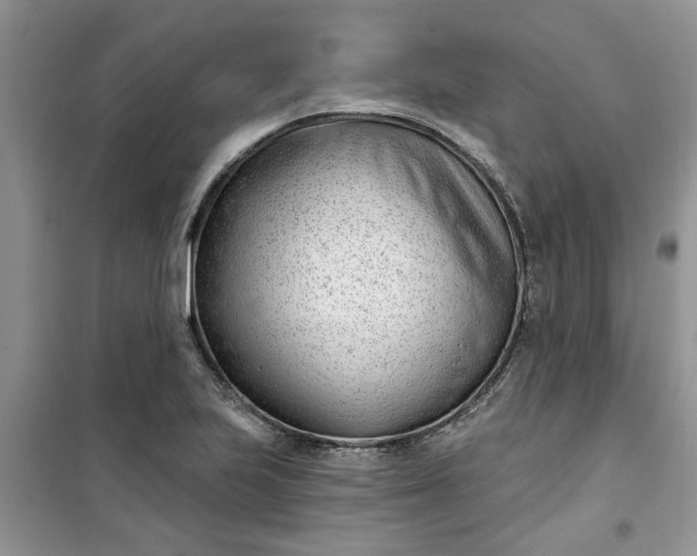 X0000100961223200807081234