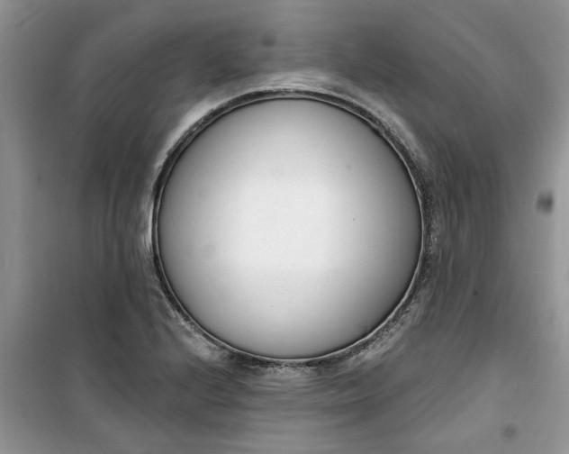 X0000100961224200807081234