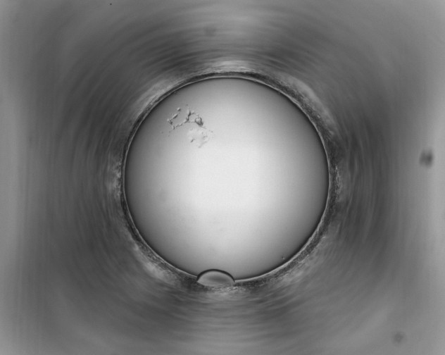 X0000100961225200807081234
