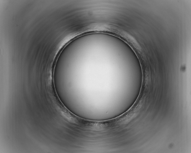 X0000100961226200807081234