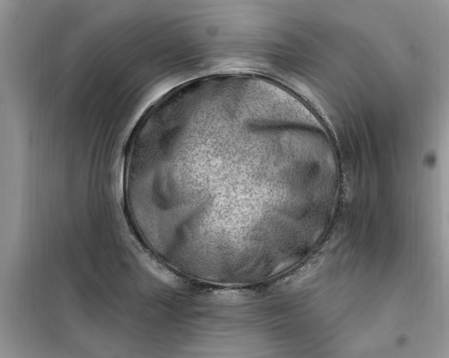X0000100961227200807081234