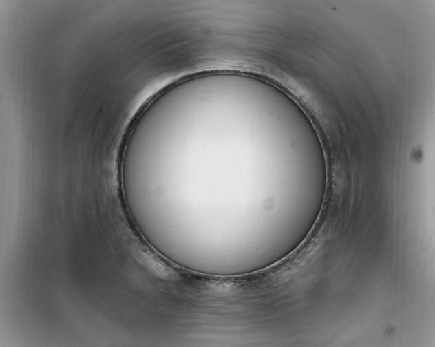 X0000100961230200807081234