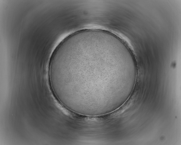 X0000100961231200807081234