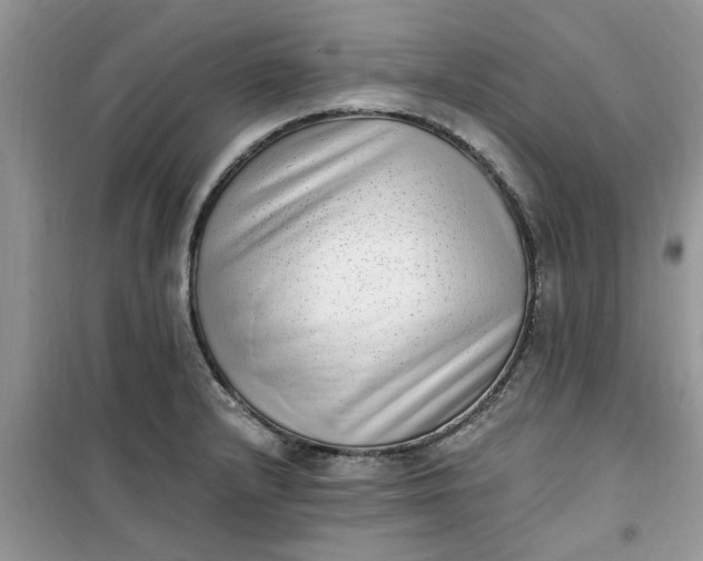 X0000100961232200807081234