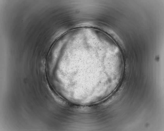 X0000100961233200807081234