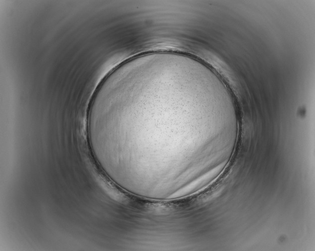 X0000100961234200807081234