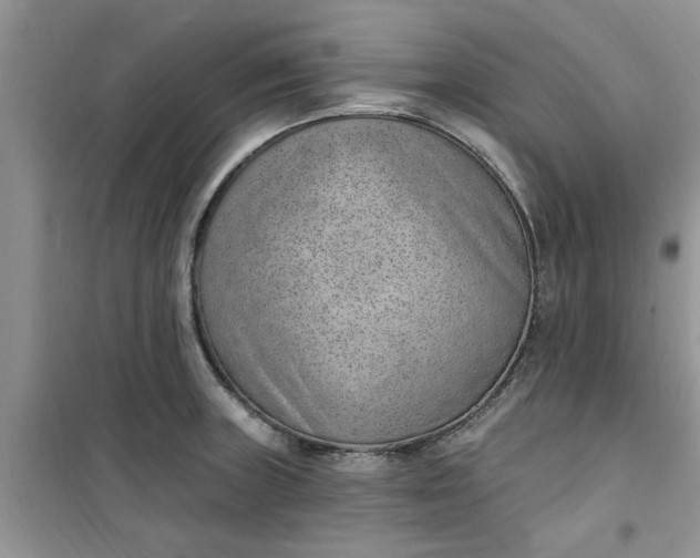 X0000100961235200807081234
