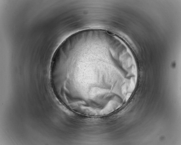 X0000100961236200807081234