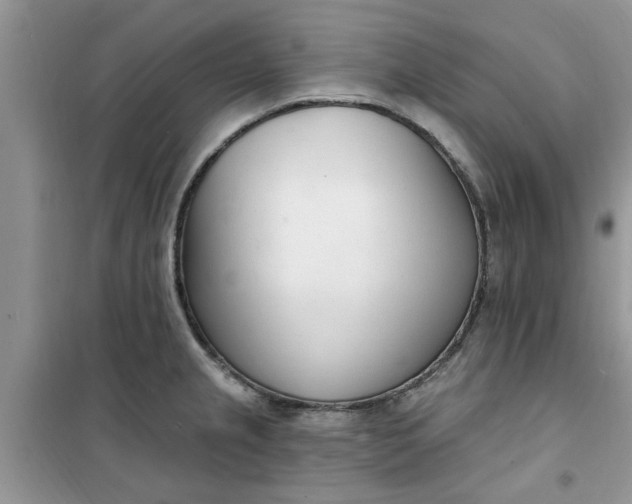 X0000100961237200807081234