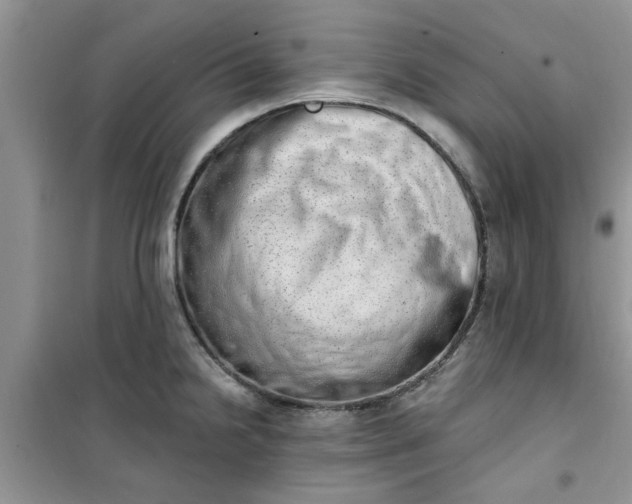 X0000100961238200807081234