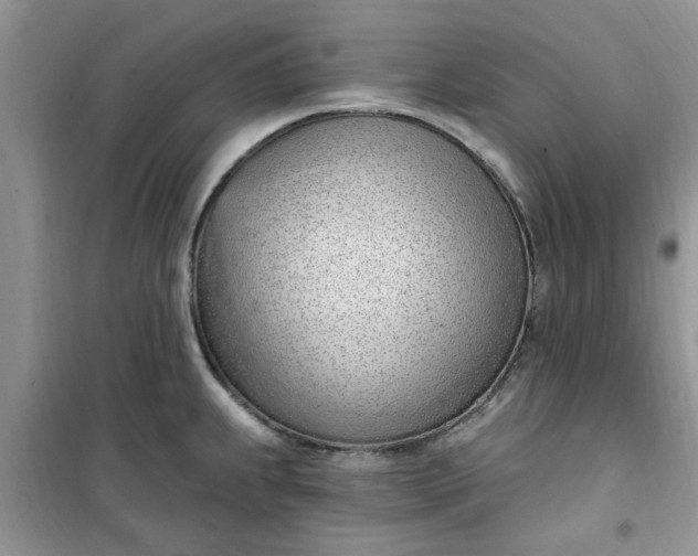 X0000100961239200807081234