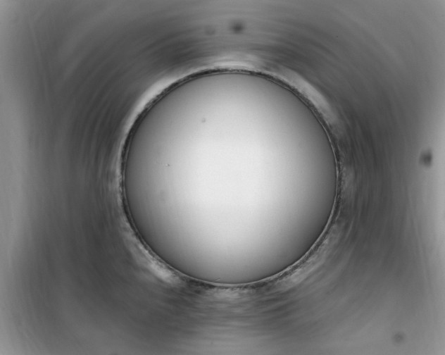 X0000100961240200807081234