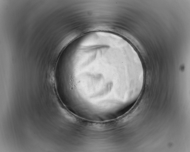 X0000100961241200807081234