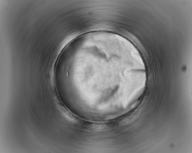 X0000100961242200807081234
