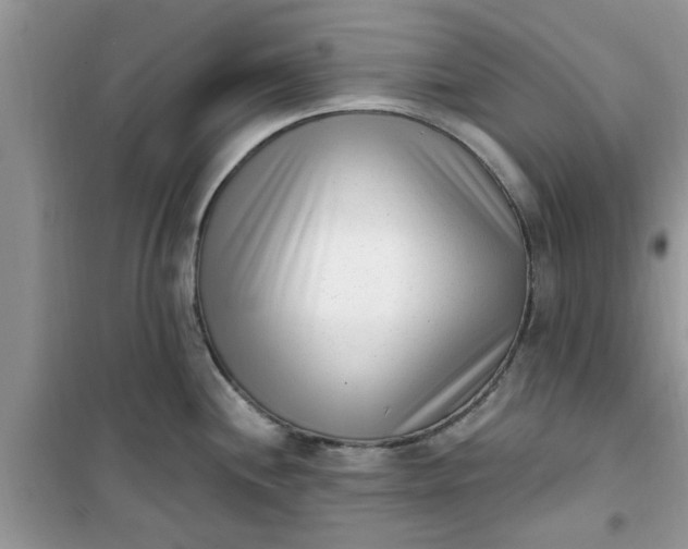 X0000100961244200807081234