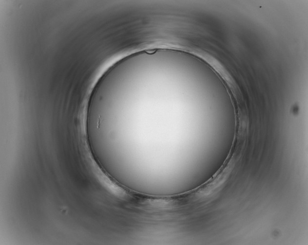 X0000100961246200807081234