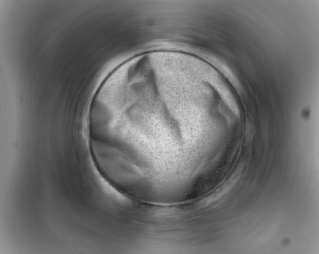 X0000100961247200807081234
