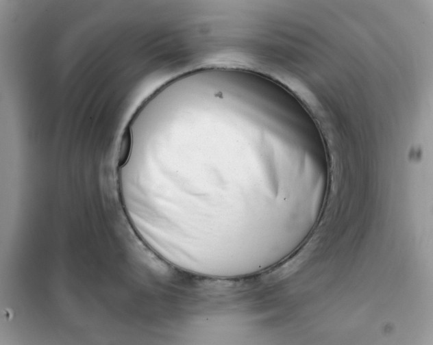 X0000100961248200807081234