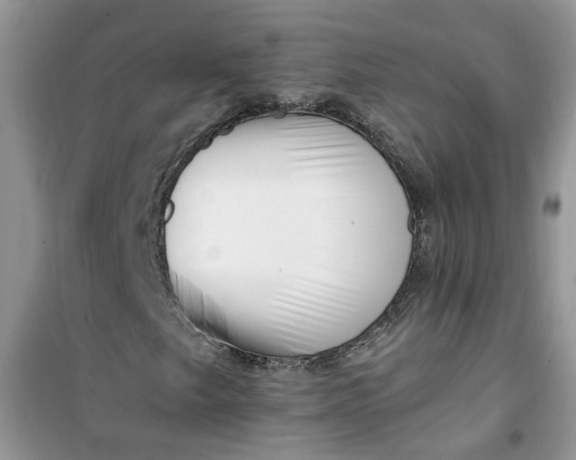 X0000100961249200807081233