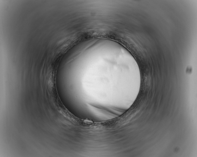 X0000100961250200807081233