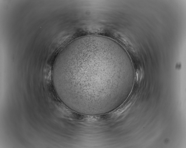 X0000100961251200807081233