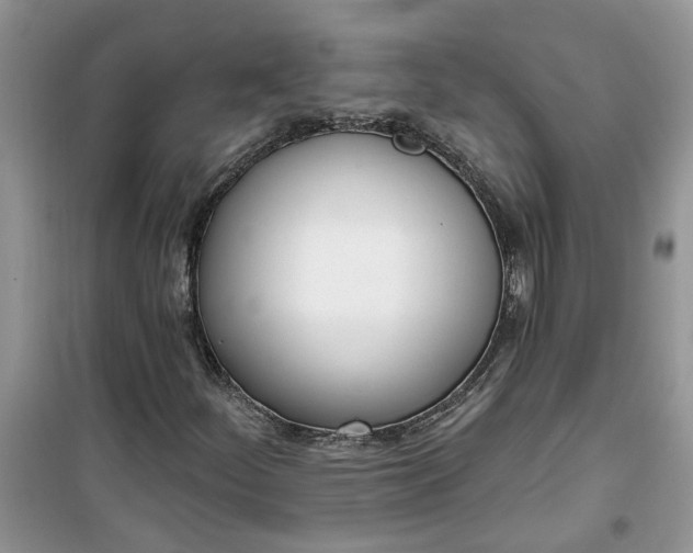 X0000100961252200807081233