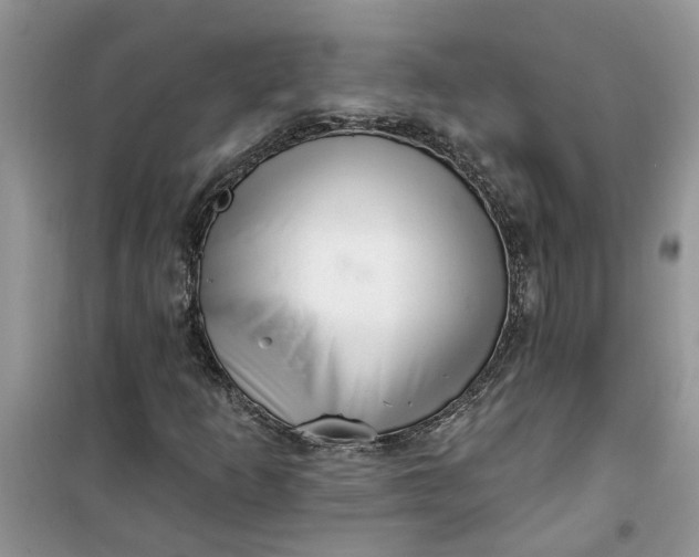 X0000100961253200807081233