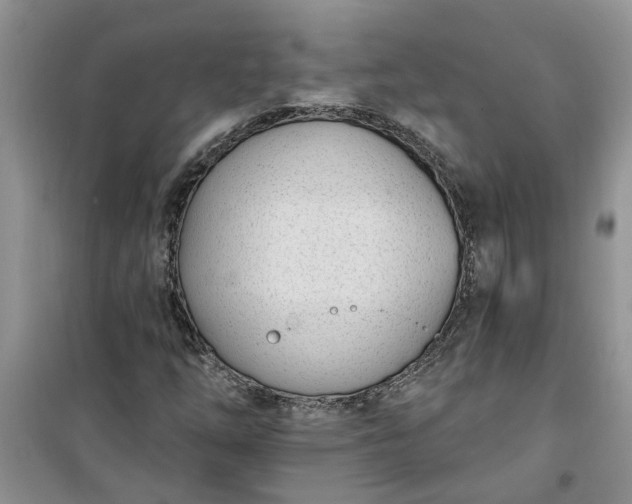 X0000100961254200807081233
