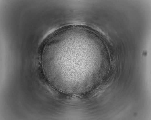 X0000100961255200807081233
