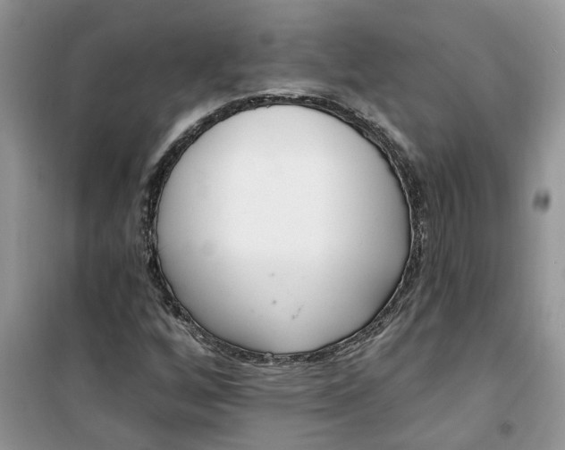 X0000100961256200807081233