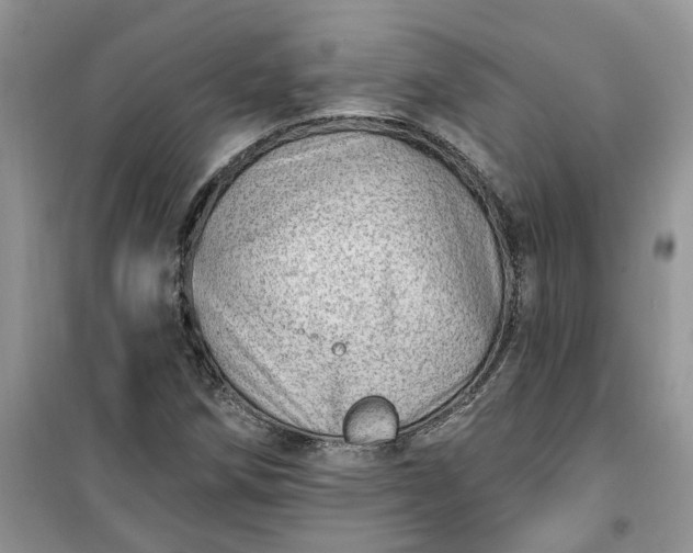 X0000100961258200807081233