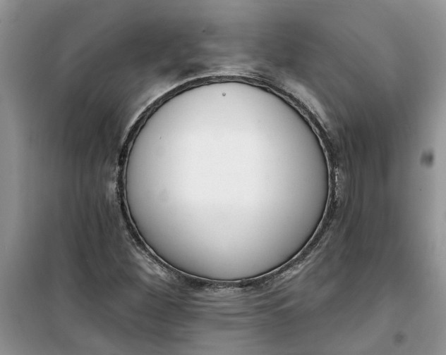 X0000100961260200807081233