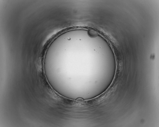 X0000100961262200807081233