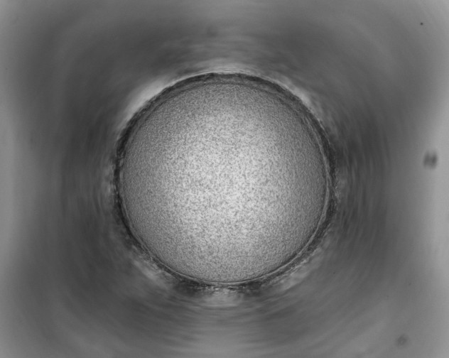 X0000100961263200807081233