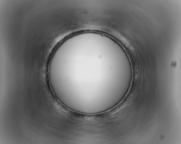 X0000100961264200807081233