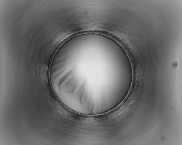 X0000100961265200807081233