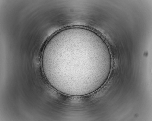 X0000100961266200807081233
