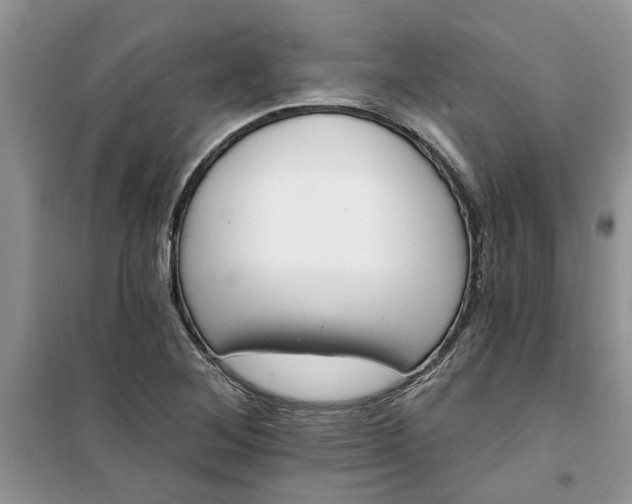 X0000100961268200807081233