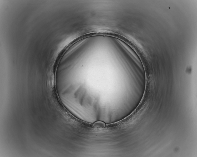 X0000100961269200807081233