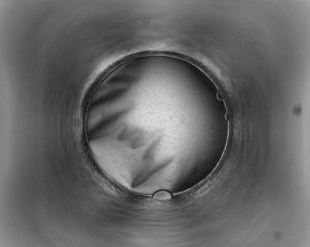 X0000100961270200807081233
