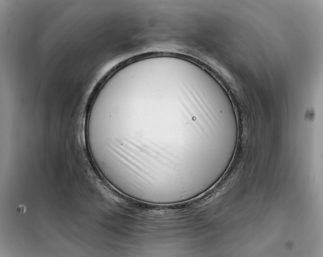 X0000100961272200807081233