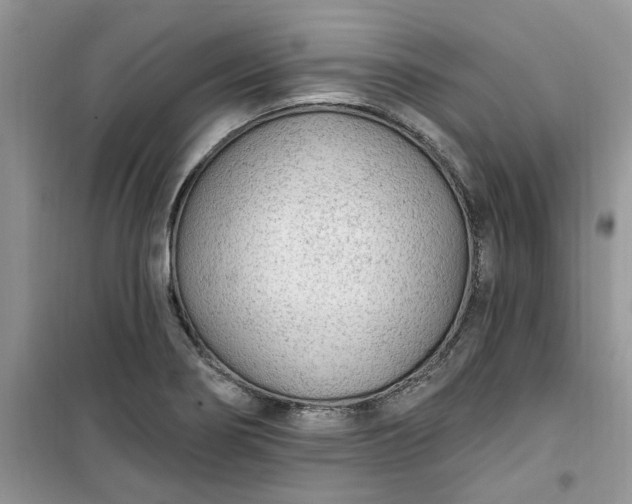 X0000100961274200807081233
