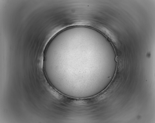 X0000100961276200807081233
