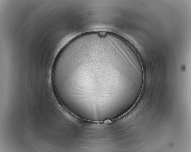 X0000100961277200807081233
